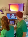 9. LA ECOENDOSCOPIA EN EQUIPO