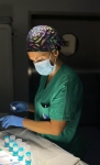 25. LA CONCLUSIÓN DE UNA TERAPIA ENDOSCÓPICA: EL ARTE DEL CUIDADO DE LA MUESTRA