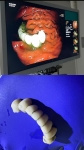17. LA IMPORTANCIA DE MASTICAR 