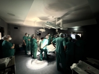 29. CUANDO LA ENDOSCOPIA DESPIERTA CURIOSIDAD